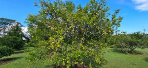 Φωτογραφία από το άλμπουμ του Rustic, 6BR Chalet on Beautiful Estate σε Ριονέγρο