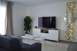 TV a/nebo společenská místnost v ubytování Le19franquelin zoo de beauval + 4 fotografie