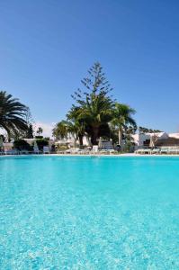 une grande piscine avec de l'eau bleue et des palmiers dans l'établissement Bungalows Santa Clara, à Playa del Ingles