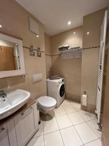 a bathroom with a toilet sink and a washing machine at FeWo Blick zum Lulatsch in Chemnitz