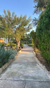 Zahrada ubytování Paphos gardens studio suite