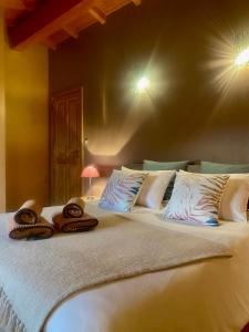 a bedroom with a large bed with pillows on it at Le Domaine d'Adrien in Larnage