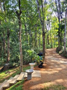 Um jardim no exterior de Trickling Stream Campsite