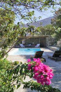 a swimming pool with some pink flowers in front of it at Aegean Bliss Villa - Hydroussa in Andros