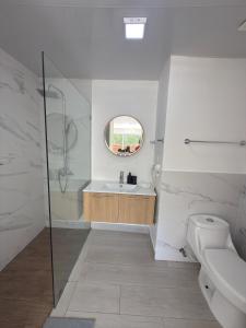 Las LagunasにあるBlue Coast Apartment - Vibe Dominicusのシャワー、洗面台、トイレ付きのバスルーム