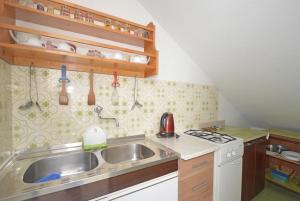 Kuchyň nebo kuchyňský kout v ubytování Apartment and Rooms Danica