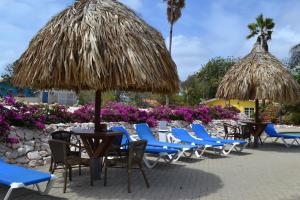 Zahrada ubytování Seru Coral Resort studio 16