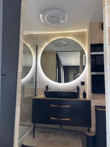 un baño con lavabo y espejo en Appartement d Alex, en Joué-lès-Tours