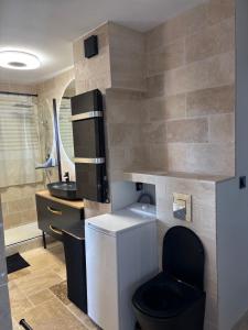 Un baño con un inodoro negro y un lavabo. en Appartement d Alex, en Joué-lès-Tours