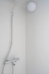 Billede fra billedgalleriet på Torenia i Furano + 95 billeder