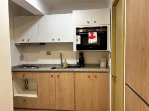 Kuchyň nebo kuchyňský kout v ubytování Modern studio in Concepción + 8 fotografií