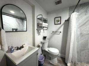 タンパにあるSpacious Suite in Tampaの洗面台、トイレ、鏡のあるバスルーム