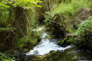 Ảnh trong thư viện ảnh của Parque Vera Cabaña 1 ở Melipeuco