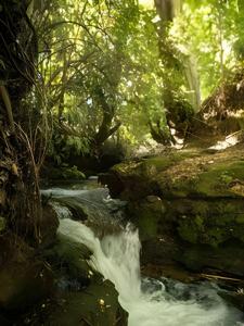 Ảnh trong thư viện ảnh của Parque Vera Cabaña 1 ở Melipeuco