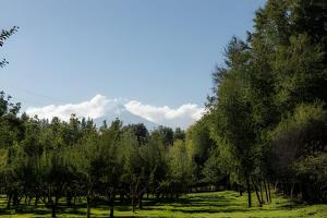 Ảnh trong thư viện ảnh của Parque Vera Cabaña 1 ở Melipeuco