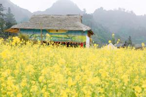 Imagen de la galería de Kale Farm Bắc Hà, en Lào Cai 53 fotos más