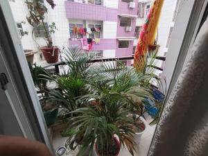 an open window with plants on a balcony at RAGHAV SADAN Luxury Apartment in Prayagraj