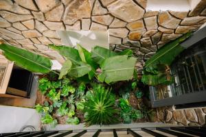 Ein Garten an der Unterkunft Charm House Hue