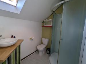 a bathroom with a toilet and a sink and a shower at Maison de charme avec terrasse et jardin clos à Messas - FR-1-590-568 in Messas +27 photos