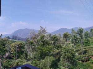 科塔吉里HaMy Resort, Kotagiri的山坡上树木和山脉的背景