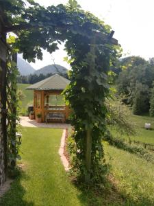 Príroda v okolí apartmánu