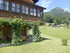 Príroda v okolí apartmánu + 25 fotografií