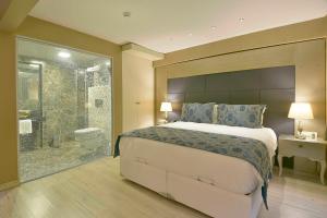 伊斯坦布尔Perada Suite & Room的一间带大床和淋浴的卧室