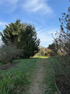 a dirt road in a field with trees and grass at Loft 49 in Le Mée-sur-Seine