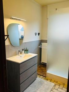 een badkamer met een wastafel en een spiegel bij Refugio Wolvenberg in Oudenaarde