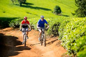 2 personnes empruntant des vélos sur un chemin de terre dans l'établissement Brackenhurst Hotel and Conferences, à Limuru