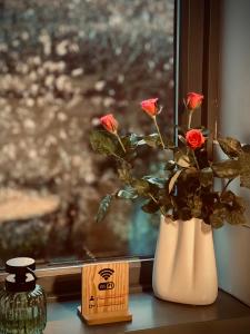 Foto sihtkohas Milford asuva majutusasutuse Chic retreat with a beautiful sea view galeriist