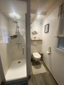 a bathroom with a shower and a toilet at La cabane de Lily - T2 classé 3 étoiles in Rochefort