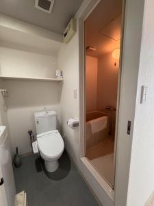 un piccolo bagno con WC e doccia di PLy ad Osaka Altre 34 foto