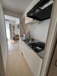 una cucina con lavello e fornelli forno a legna di PLy ad Osaka