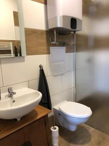 Koupelna v ubytování Ubytování u slaniska + 35 fotografií