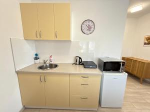 Kuchyň nebo kuchyňský kout v ubytování Apartmány LETO