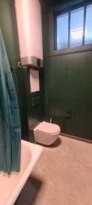 a green bathroom with a toilet and a sink at Opera in Bishkek