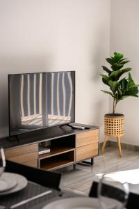 uma TV em um suporte com uma planta em vaso em F9 Modern and Bright Apartment in Malta em Msida