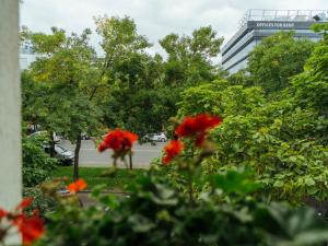 En have udenfor Herastrau Park Studio - Bucharest Business District - Arancia