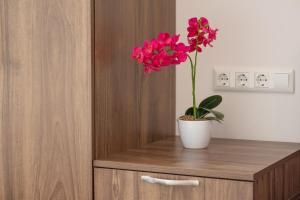 a vase with a red flower on a wooden cabinet at Hotel Central Linz - 24h Self-Check-in in Linz