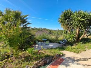 a patio with a table and chairs and palm trees at Vale de Garcia AL 5357 in Colos