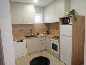Kuchyň nebo kuchyňský kout v ubytování Apartmani NIL