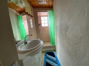 Koupelna v ubytování Maison de Montagne Soussens + 23 fotografií