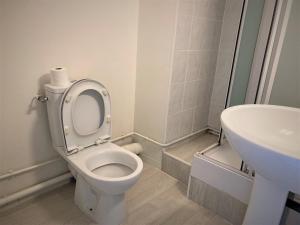 Ένα μπάνιο στο Appartement double 13 à Limoges