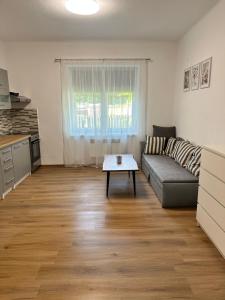 Kuchyň nebo kuchyňský kout v ubytování Apartmány Daros