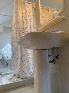 a bathroom with a sink and a shower curtain at Breve Sosta in Santhià +5 photos