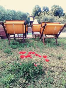 Zahrada ubytování Cortebella B&B Rimini