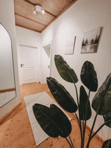 Fotografie z fotogalerie ubytování Zefix - Apartment im Bäderdreieck v destinaci Rotthalmünster