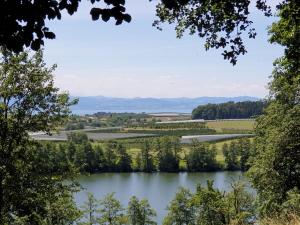 a view of a river with trees in the foreground at Ferienwohnung Jakob in Kressbronn am Bodensee