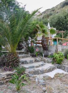 Vonkajšia záhrada v ubytovaní Cortijo Jamaica - Off Grid Paradise - Costa Tropical
